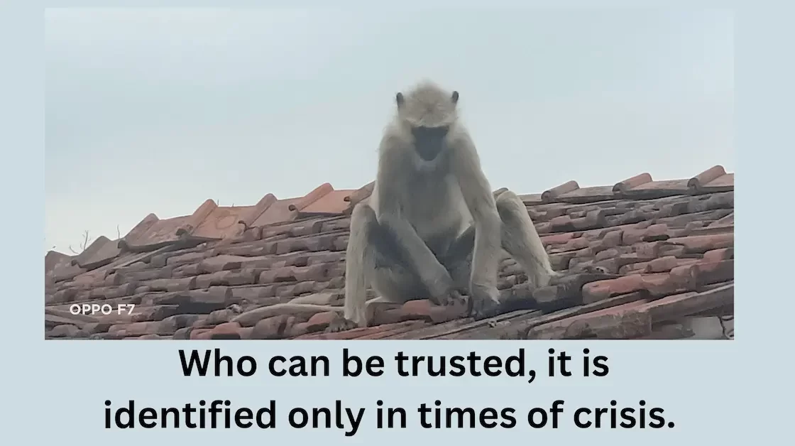 भरोसा का अर्थ