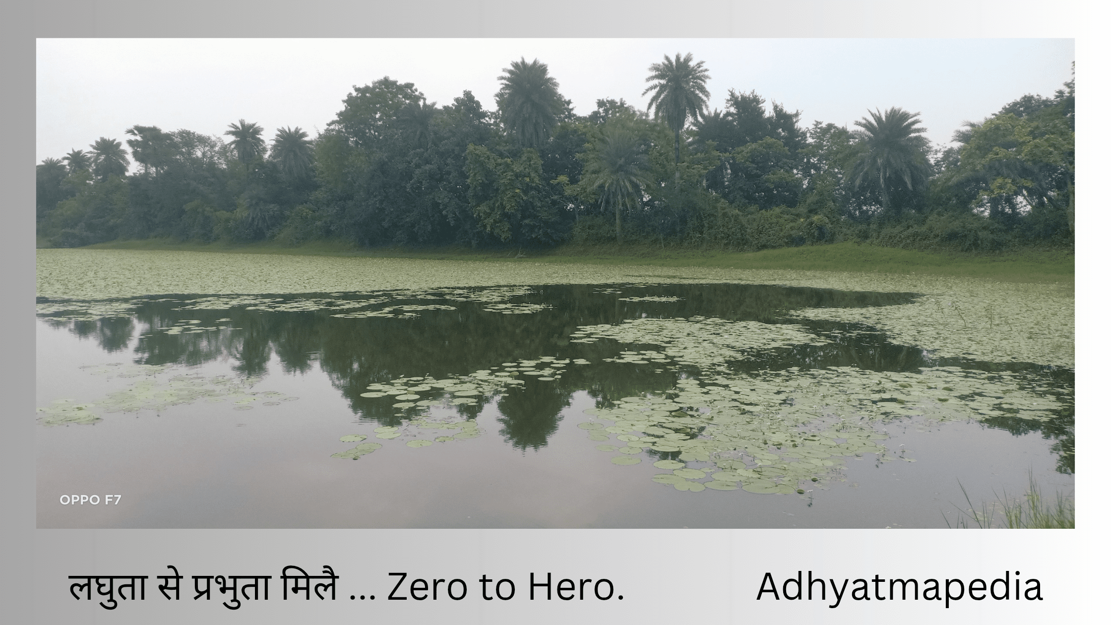 लघुता से प्रभुता